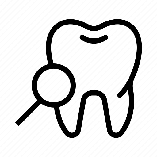 Dental Exams and Cleanings Dental Exams and Cleanings